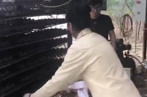 晾曬蛋托機視頻
